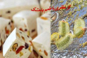 گز رعفرانی بیدمشکی